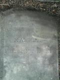 image of grave number 240630